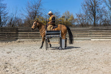 Laden Sie das Bild in den Galerie-Viewer, El Gaucho 80x50cm - Limited Edition