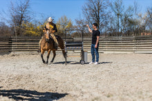 Laden Sie das Bild in den Galerie-Viewer, El Gaucho 80x50cm - Limited Edition